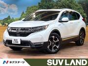 2019 HONDA OTHER