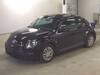 VOLKSWAGEN THE BEETLE