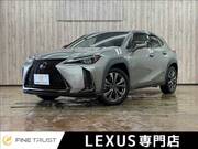2019 LEXUS UX