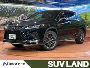 2020 LEXUS RX