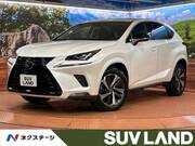 2019 LEXUS NX