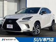 2018 LEXUS NX
