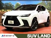 2023 LEXUS NX