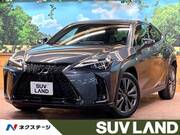 2024 LEXUS UX