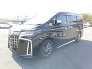 2019 TOYOTA ALPHARD HYBRID EXECUTIVE LOUNGE S