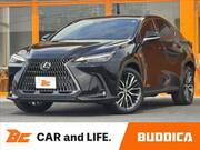 2021 LEXUS NX