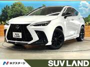 2023 LEXUS NX