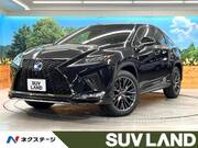 2021 LEXUS RX
