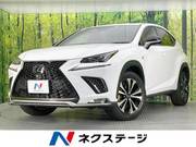 2020 LEXUS NX