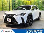 2021 LEXUS UX