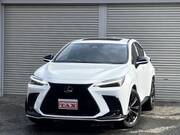 2022 LEXUS NX
