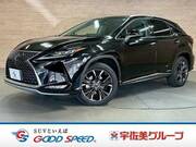 2019 LEXUS RX