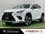 2019 LEXUS NX