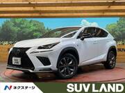 2019 LEXUS NX