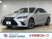 2019 LEXUS ES