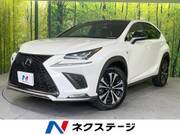 2018 LEXUS NX