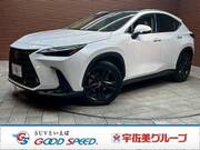 2023 LEXUS NX