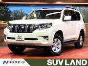 2024 TOYOTA LAND CRUISER PRADO