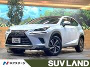 2018 LEXUS NX