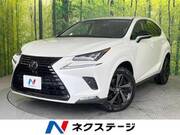 2018 LEXUS NX