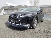 2019 LEXUS RX