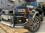 2024 TOYOTA LANDCRUISER 250