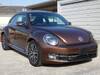 VOLKSWAGEN THE BEETLE