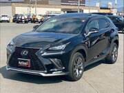 2017 LEXUS NX