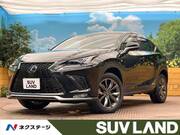2017 LEXUS NX