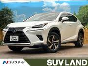 2020 LEXUS NX