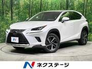 2019 LEXUS NX