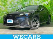 2019 LEXUS UX