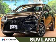 2021 LEXUS NX