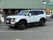 2024 TOYOTA LANDCRUISER 250