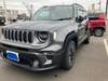 CHRYSLER JEEP RENEGADE