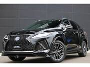 2021 LEXUS RX