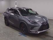 2020 LEXUS NX