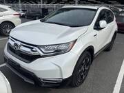 2019 HONDA OTHER