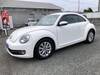 VOLKSWAGEN THE BEETLE