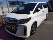 2020 TOYOTA ALPHARD S CPACKAGE