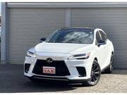 2024 LEXUS RX