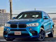 2015 BMW X6 M