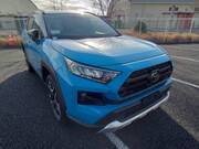 2020 TOYOTA RAV4 ADVENTURE