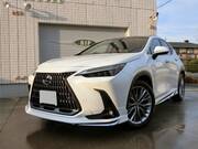 2023 LEXUS NX