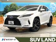 2019 LEXUS RX