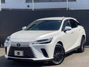 2024 LEXUS RX
