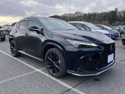 2022 LEXUS NX