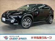 2016 LEXUS NX