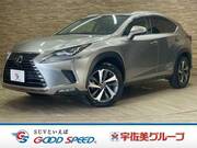 2019 LEXUS NX