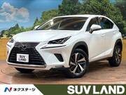 2019 LEXUS NX